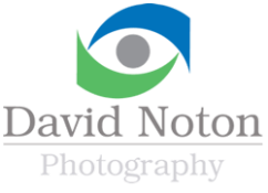 David Noton - Photographer for your website